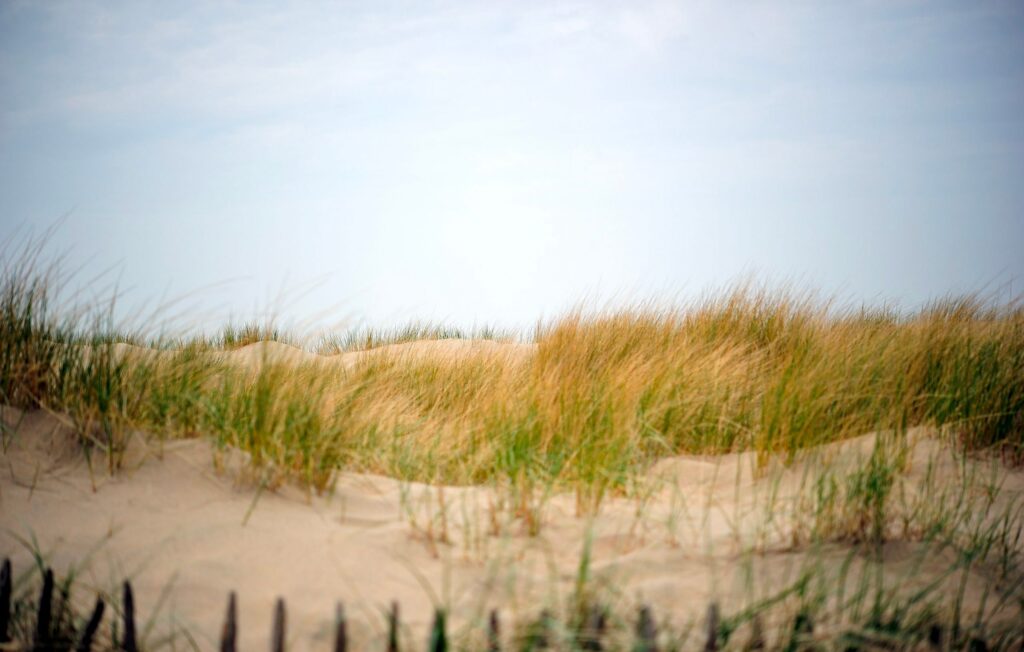 In Zorghotel De Kim is het heerlijk herstellen en ontspannen aan Noordwijk aan Zee